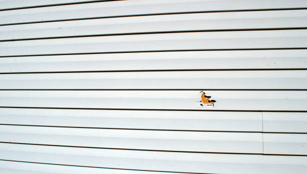 Best Siding for New Construction  in Richmond Hill, GA